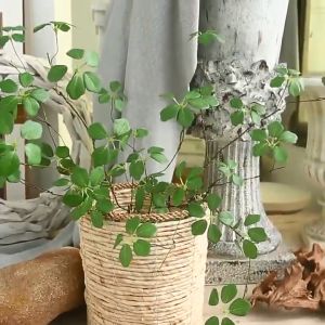 Simple Zen Simulation Green Branches & Indoor Furnishings