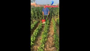 Máy vun gốc ngô máy xạc cỏ đa năng làm cỏ lạc