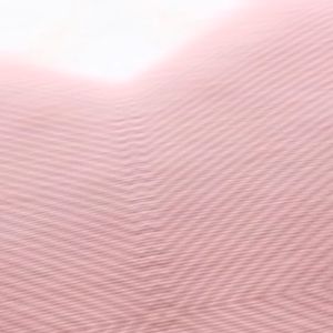 Sikat Pembersih Bulu Hewan Serbaguna