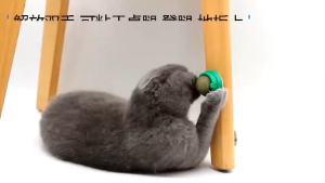 Upgrade Catnip Ball Cat Toy Rotating Cat Mint Ball Increase appetite Self-adhesive Catnip for Cat