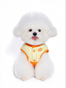 Mooki pet | Áo Choàng Lông Vịt Màu Trắng Sáng