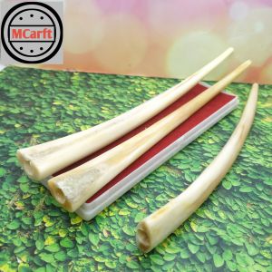 Pipa once sirip ikan marlino super panjang B31