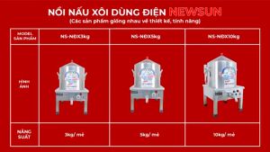 Nồi đồ nấu xôi NEWSUN 5kg/mẻ xôi thơm ngon dẻo - Hàng chính hãng