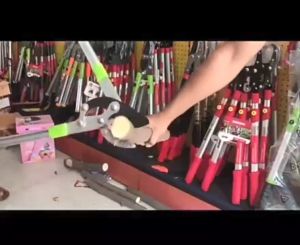 กรรไกรตัดแต่งกิ่ง กรรไกรตัดต้นไม้ กรรไกรตัดกิ่งสูงไม้ กรรไกรตัดกิ่ง ครีมตัดกิ่งไม้ ใช้ในการตัดแต่งกิ่งไม้สูง