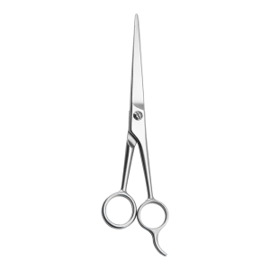 Besee | Stainless Steel Hair Scissors Hairdressing and Cutting Bangs