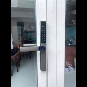 Khóa vân tay cửa nhôm Demax EL599 Lux BL chính hãng chống nước công nghệ Đức cao cấp