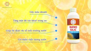Nano Silic Vietnam Tech Cung cấp dinh dưỡng cho hệ tảo cải thiện nguồn nước ao nuôi Cho Tôm Cá Thuỷ Sản 1000ml