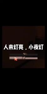 Night Lights Wireless LED Motion Sensor Lamp USB Rechargeable Magnetic For Wardrobe Room Closet Kitchen Aisle Tube Detector Bulb