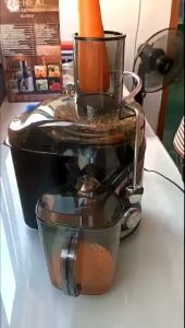 Business Electric Juicer Fruits Extractor Juice Maker