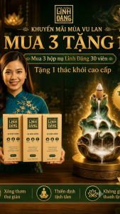 Nụ Trầm Hương Linh Đăng – Trầm Tự Nhiên Không Hóa Chất Khói Nhẹ Dùng Thiền & Xông Nhà
