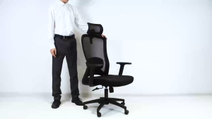 WISDOM B19 Ergonomic Home Office Chair Computer Gaming Chair | 2D Headrest and Lumbar Support | BIFMA Certified Frame and Gas Lift | 3-Year Warranty