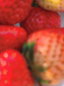 เสื่อปิคนิค เสื่อชายหาด เสื่อกันน้ำ เสื่อผ้าใบ พกพาง่าย เสื่อพับได้ กันน้ำและป้องกันความชื้น