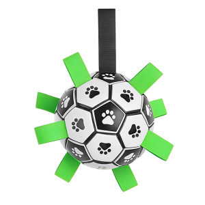7o | Durable Sound-making Pet Toy Ball
