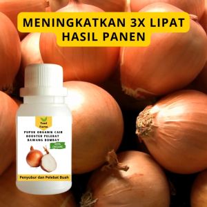 Pupuk Bawang Bombay Cepat Berbuah / Pupuk Pelebat Bawang Bombay / Pupuk Booster Bawang Bombay Cair