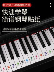 Nhạc Cụ Piano Điện Thanh Âm Chữ Nổi Nhãn Dán Trong Suốt Cho Trẻ Em Người Lớn Học Tập Đầu Vào 88 Phím 61 Phím 54 Phím