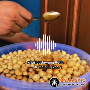 madu bawang tunggal lanang balaasyiq 350g madu bawang lanang tunggal madu