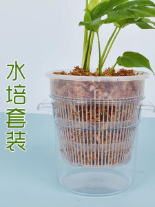 Thickened Cultivation Pot for Hydroponic Plants Green Ivy Transplantation Basket Transparent Flower Pot Gardening Vessels