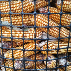 แผงเหล็กไนลอนเสริมความหนาสำหรับเก็บข้าวโพด กำแพงกั้น โครงเหล็กสำหรับปลูกข้าวโพด ท่อระบายอากาศ แผงเหล็กไนลอนสำหรับใช้ในอุตสาหกรรมการเกษตร