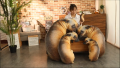 หมอนตุ๊กตา รูปสุนัขกอด ของเล่นสําหรับเด็ก ผู้ใหญ่ หมอนสุนัขจำลอง 3D, ของเล่นตุ๊กตาสุนัข, เบาะตุ๊กตาสุนัขจำลอง. 