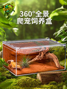 Acrylic Ecological Pet Reptile Box for Geckos Lizards Frogs Snakes Spiders Mantis Pet Cages Supplies Rep-Shop Brand