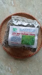 1kg cây mơ trắng mơ trơn sấy khô