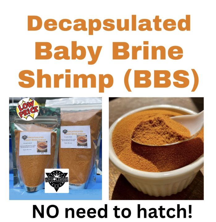 Decapsulated Baby Brine Shrimp (BBS) 75g / 100g / 200g / 250g / 500g