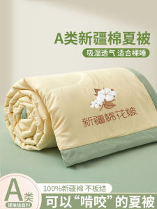 Pure Cotton Summer Air Conditioner Quilt Washable Machine Cotton Filling Four Seasons Universal Light Weight Comforter