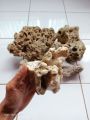 batu karang laut / 1 kg. 