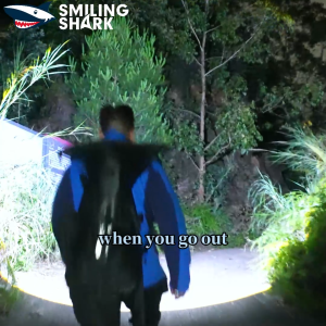 Nụ Cười Cá Mập Td0238 LED Cảm Ứng Đèn Pha 6Mode Đèn làm việc COB Loại C Có Thể Sạc Lại Đèn pha Trắng Đỏ Ánh Sáng cắm trại ngoài trời không thấm nước Chiếu Sáng