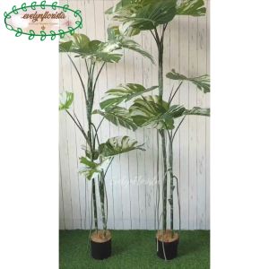Pohon Artificial Monstera Variegata T170 & T190 Latex: Dekorasi Rumah Elegan