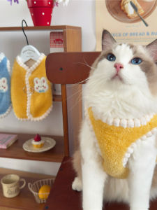 Warm Fleece Vest for Cats And Dogs Sleeveless Gradient Color Cute Pet Clothes Winter Fashionable Plush Material Hand Washable