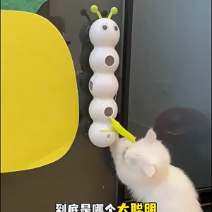 Pet toy cat sensor caterpillar smart cat teaser automatic interactive cat toy
