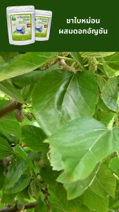 ชาใบหม่อนผสมดอกอัญชัน ตราไร่กฤติยา (Mulberry Leaves Butterfly Pea Flower Blended Tea)