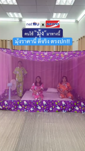 (ขายดี) Net2u มุ้งกันยุง มุ้ง 8ฟุต นอน3คน หลังใหญ่ ต่อชายผ้าโพลี ยี่ห้อซากุระ Netto ต่อชายด้วยผ้าโพลี
