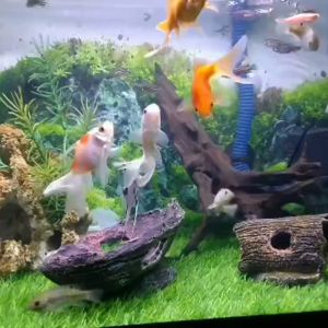 Rumput Plastik Aquarium Untuk Aksesoris Aquarium Rumput Rumputan 40x20 Cm