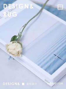 MOLORE | Full-Cover Luxury Carpet