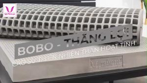 [VOUCHER300K] Nệm 100% Cao Thiên Nhiên Thắng Lợi BoBo - Than Hoạt Tính - Đủ Size - QUÀ Tặng Siêu Cao Cấp - Thành Phần 100% Mũ cao su Tự Nhiên An Toàn Với Sức Khỏe Và Môi Trường