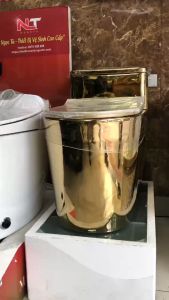 BỒN CẦU BỆT LIỀN KHỐI MẠ VÀNG NHẬP KHẨU GROVES GB 8660