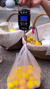 Timbangan Digital Koper mini Portable Electronic Scale 75KG - WHA27