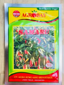 Benih Cabe Cabai Rawit SAMARU 10gr dari Agrobas Mantap