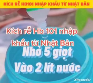 HB 101 6ml Nhật Bản Siêu Kích Rễ Phục Hồi Cây Suy Yếu Tăng Cường Ra Rễ Và Thúc Đẩy Hồi Phục Cây Suy Yếu