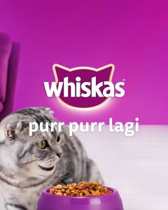 Whiskas Junior/Adult Dry Food1.1KG/1.2KG (Cat Food)