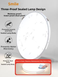 Smile | Full Spectrum Eye-protecting Ceiling Light