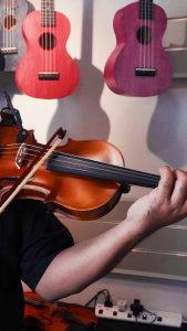 Warstag WV100 Violin with Oblong Case Bow and Rosin 1/2