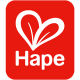 hape toys