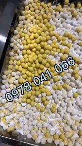 Máy vo viên tinh nghệ sữa ong chúa ST106 size 10mm