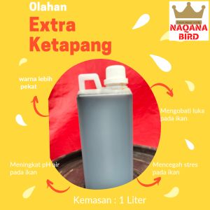 extra Ketapang olahan dari daun kering untuk ikan kemasan 1 liter segel