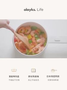 OLAYKS Electric Caldron Dormitory Bedroom Student Cooking All-in-One Pot Multi-Functional Household Cooking Noodles Small Electric Hot Pot