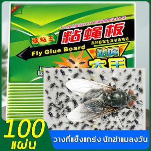 100 ชุดแผ่นคลินิก ใช้งานง่าย ประกอบด้วยกาวแน่น แผ่นดักแมลงวัน แผ่นกาวดักแมลงวัน และสารล่อแมลง กาวดักแมลงวันทอง กระดาษแผ่นกาวดักแมลง กับดักแมลงวัน กาวติดแมลงวัน เพื่อให้คุณสามารถทำงานอย่างมีประสิทธิภาพ