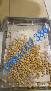 Máy vo viên trân châu khoai dẻo 12mm bán tự động